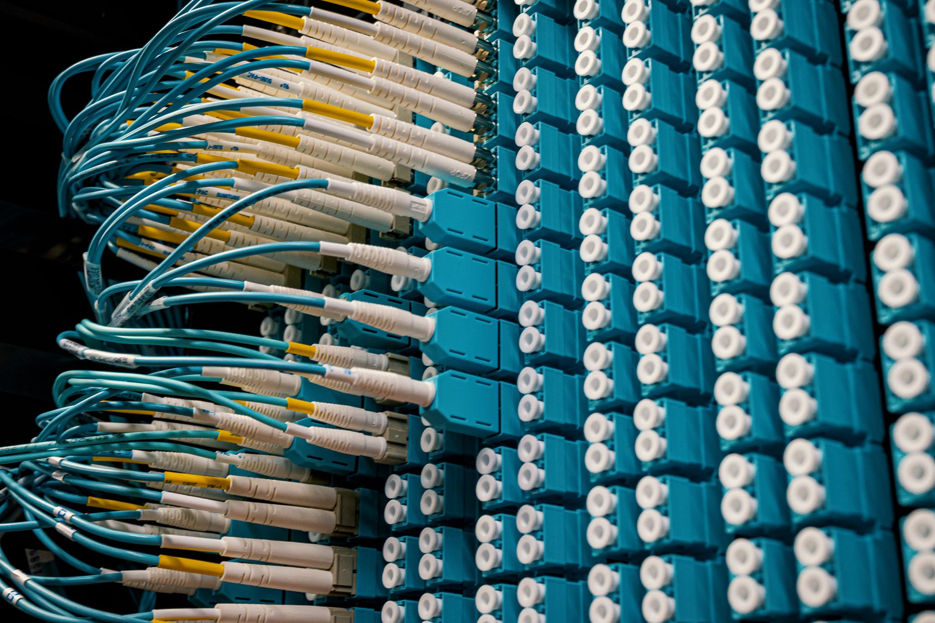 The back of a server rack with neatly bundled network cables