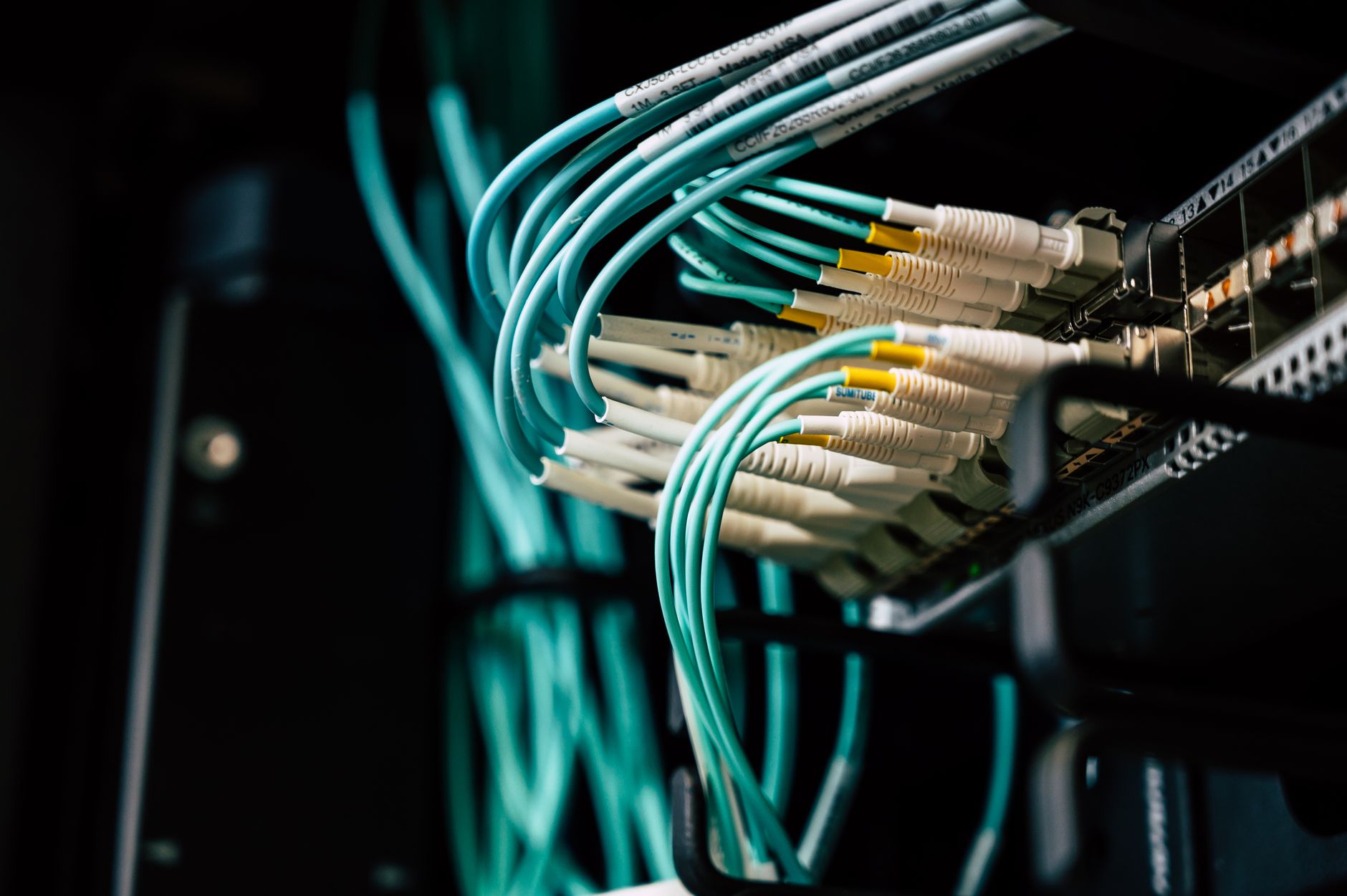 Blue and yellow network cables plugged into the ports of a rack-mounted switch